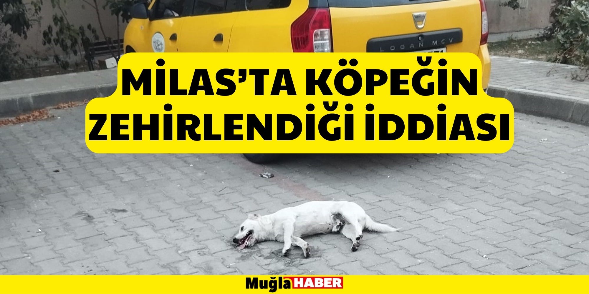 MİLAS’TA KÖPEĞİN ZEHİRLENDİĞİ İDDİASI