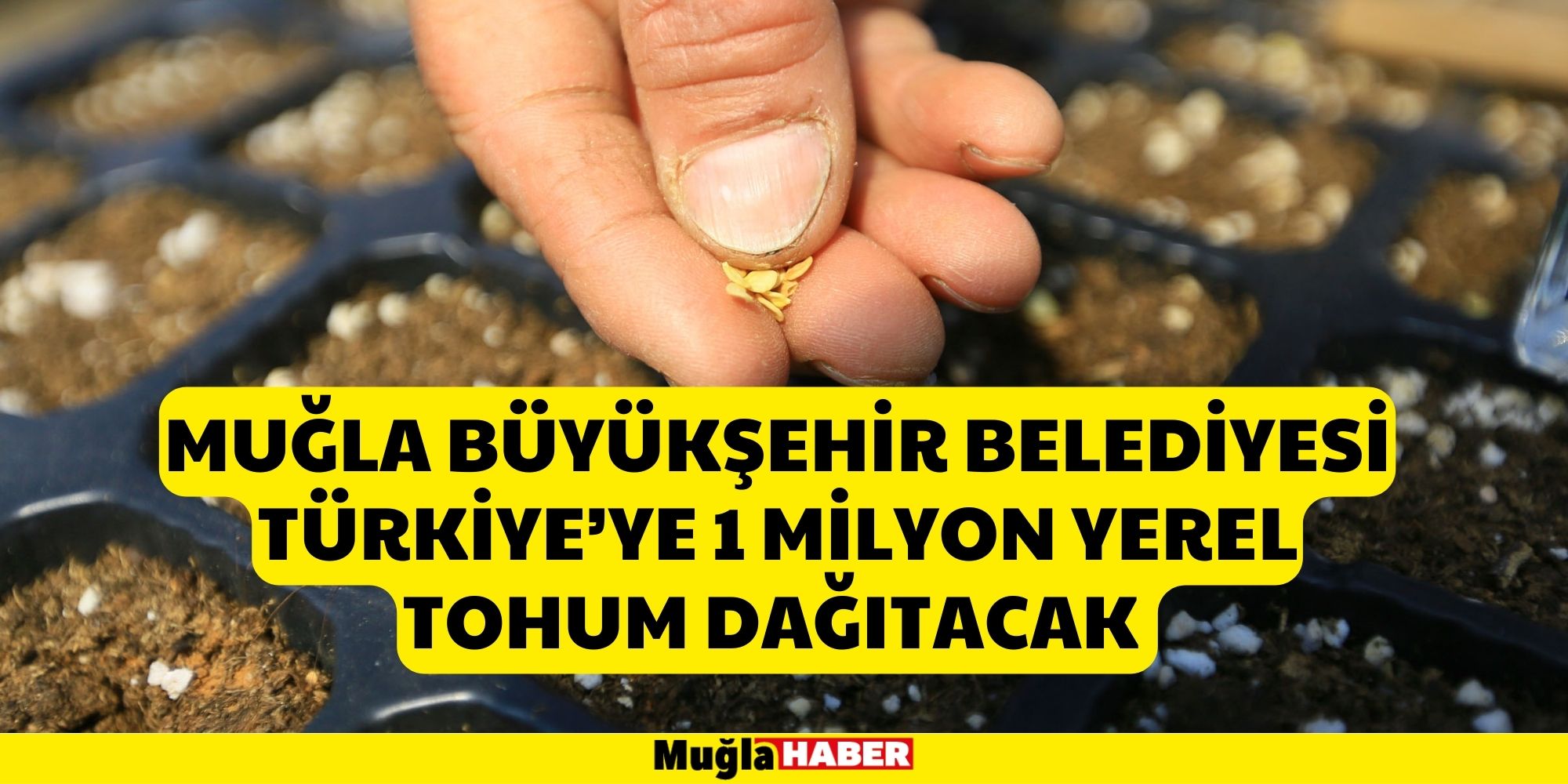 MUĞLA BÜYÜKŞEHİR BELEDİYESİ TÜRKİYE’YE1 MİLYON YEREL TOHUM DAĞITACAK