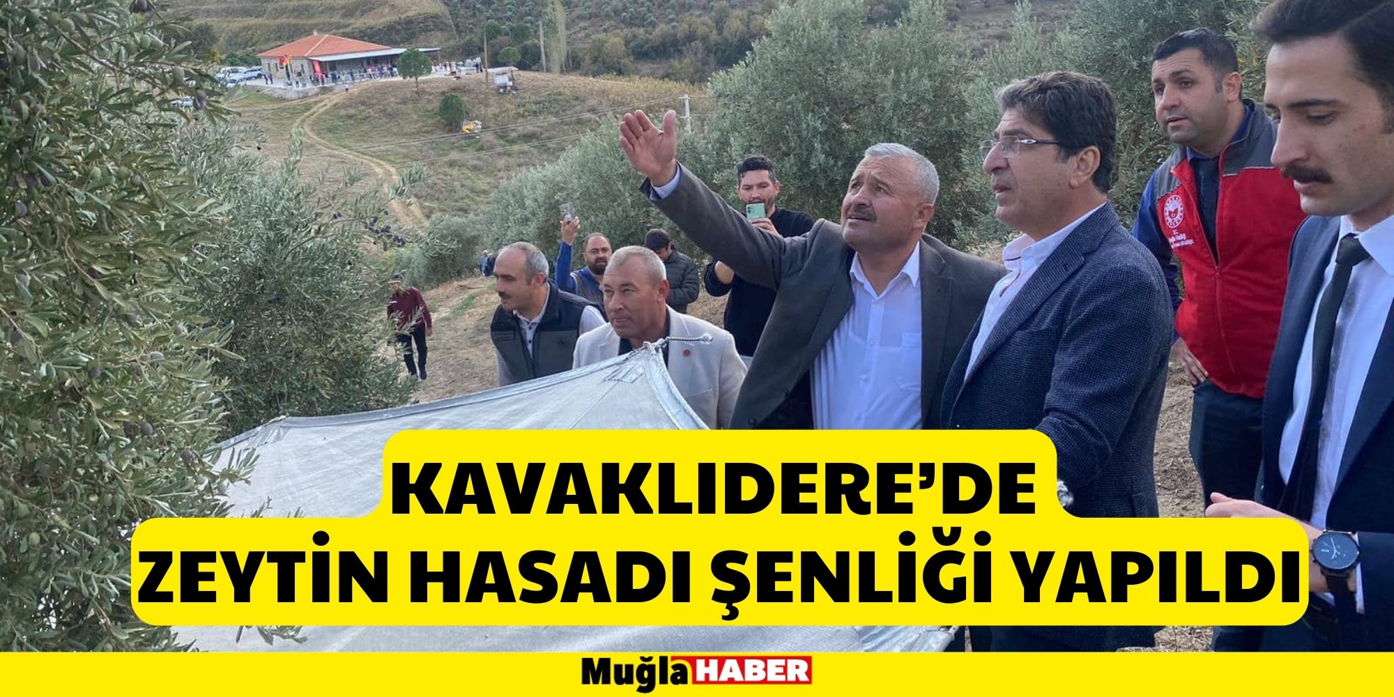 KAVAKLIDERE’DE ZEYTİN HASADI ŞENLİĞİ YAPILDI