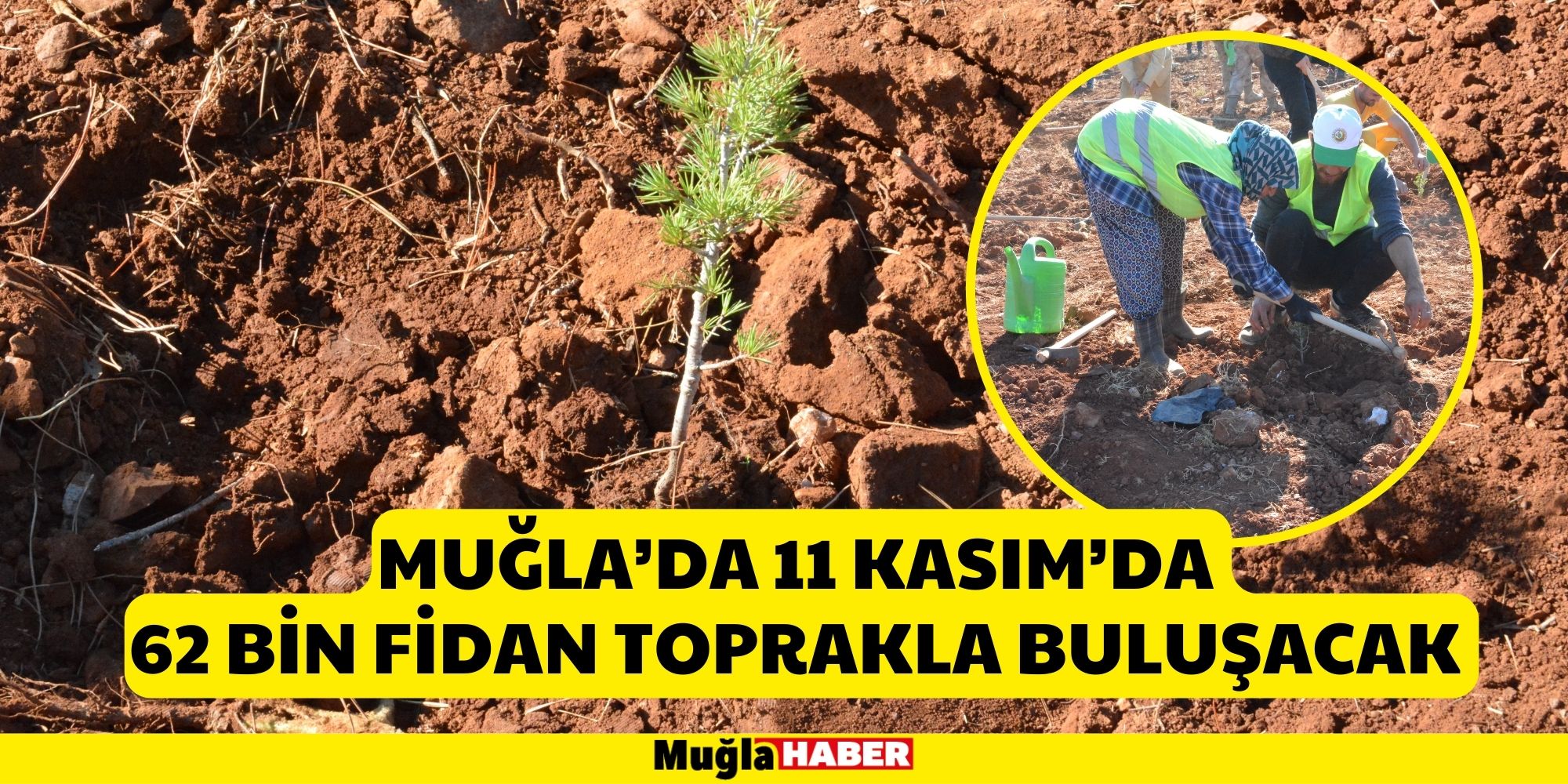 MUĞLA’DA 11 KASIM’DA 62 BİN FİDAN TOPRAKLA BULUŞACAK