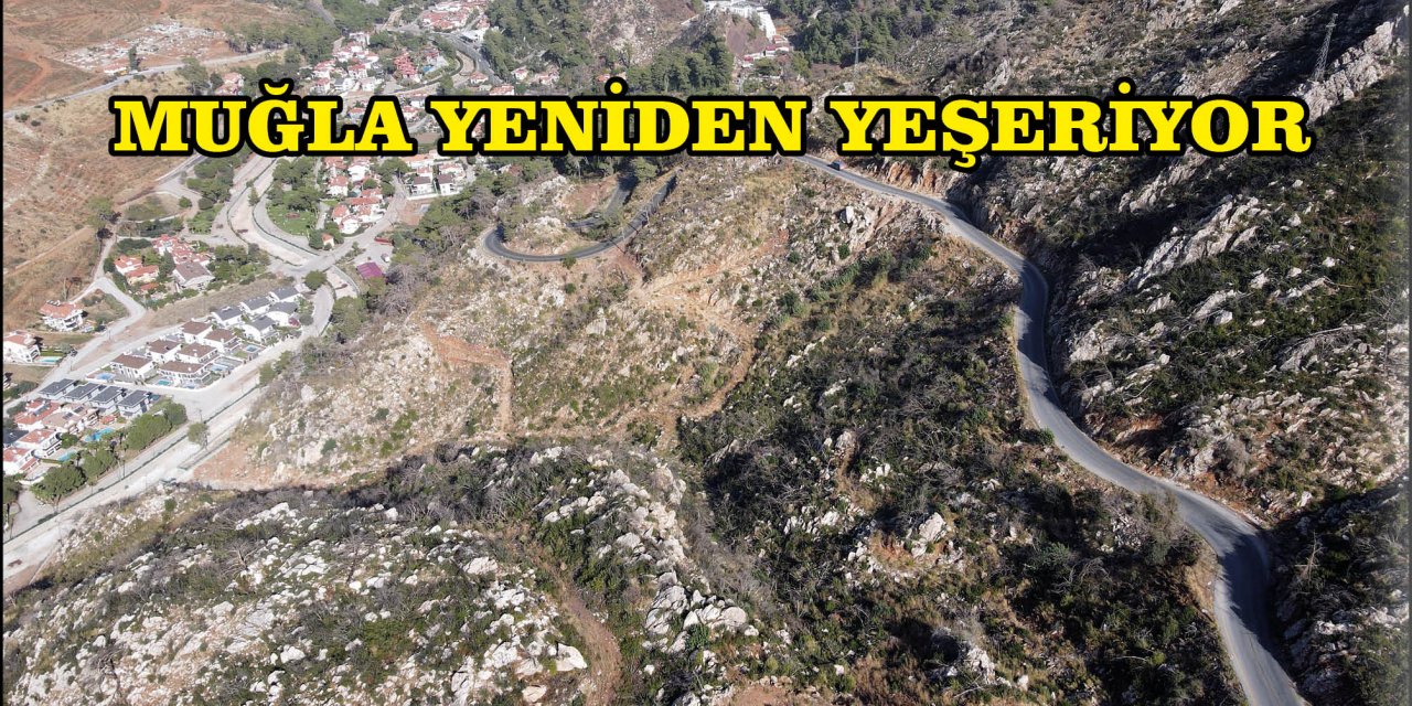 MUĞLA YENİDEN YEŞERİYOR