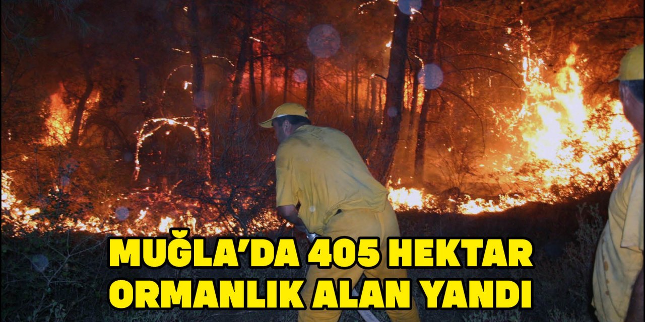 MUĞLA'DA 405 HEKTAR ORMANLIK ALAN YANDI