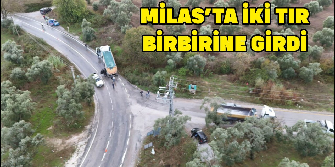 MİLAS'TA İKİ TIR BİRBİRİNE GİRDİ