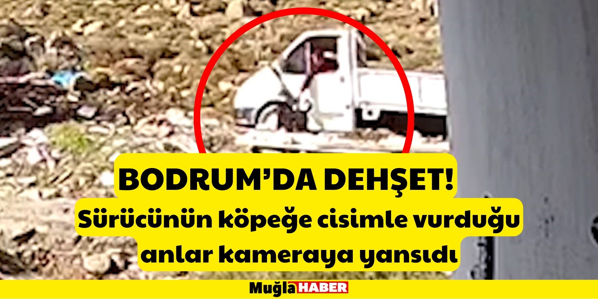 BODRUM'DA DEHŞET!