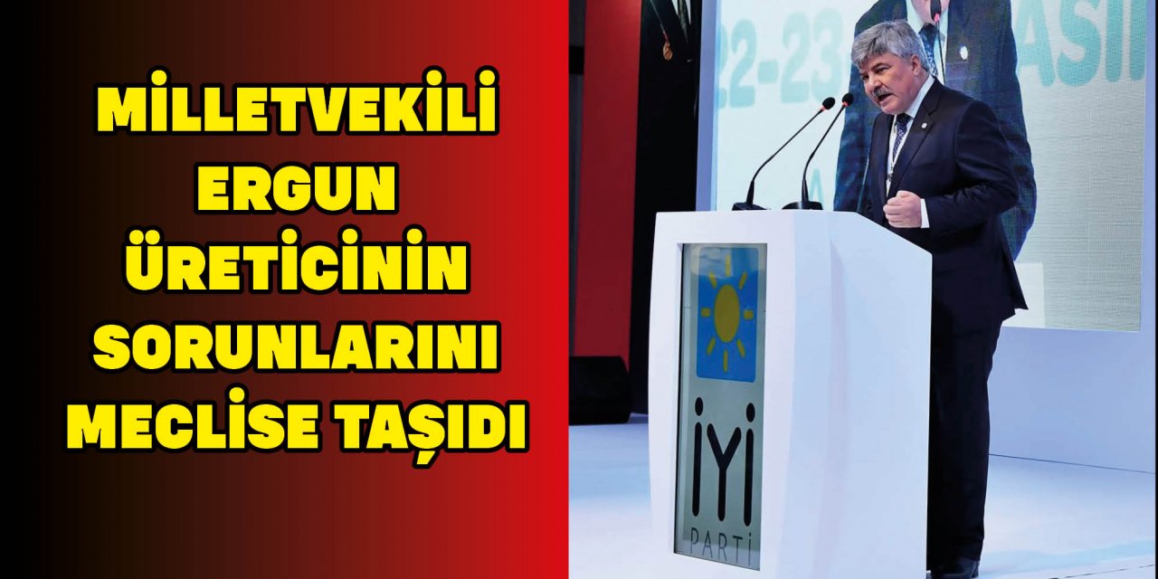 MİLLETVEKİLİ ERGUN ÜRETİCİNİN SORUNLARINI MECLİSE TAŞIDI