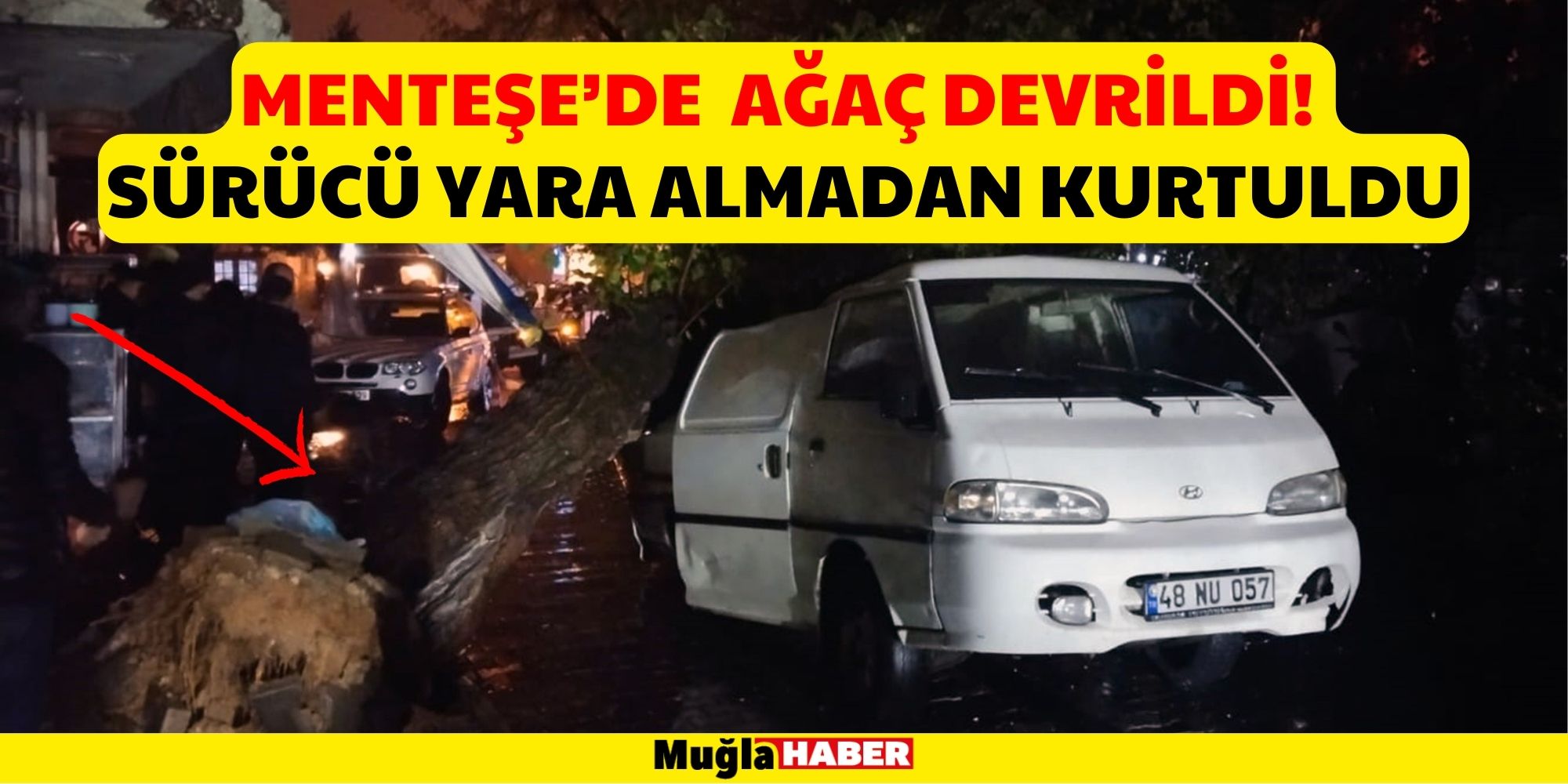 MENTEŞE’DE  AĞAÇ DEVRİLDİ!