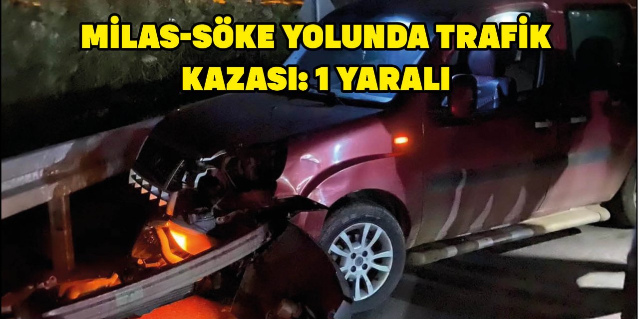 MİLAS-SÖKE YOLUNDA TRAFİK KAZASI: 1 YARALI