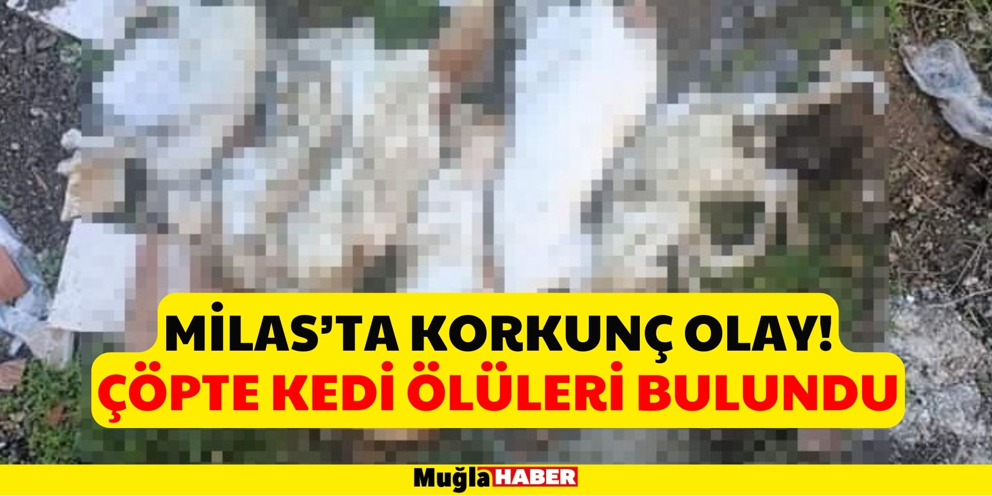 Milas’ta korkunç olay!