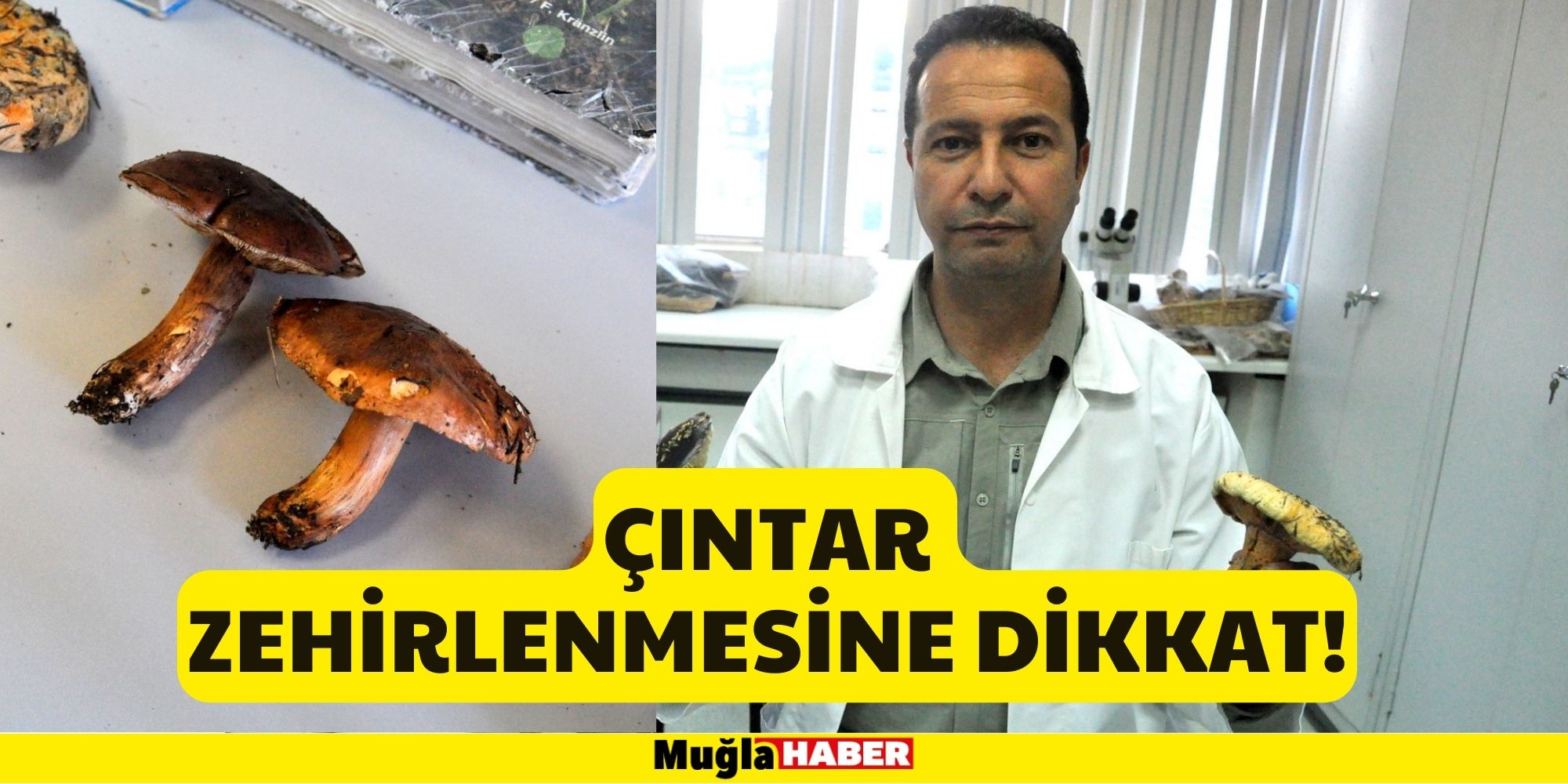 Çıntar  zehirlenmesine dikkat!