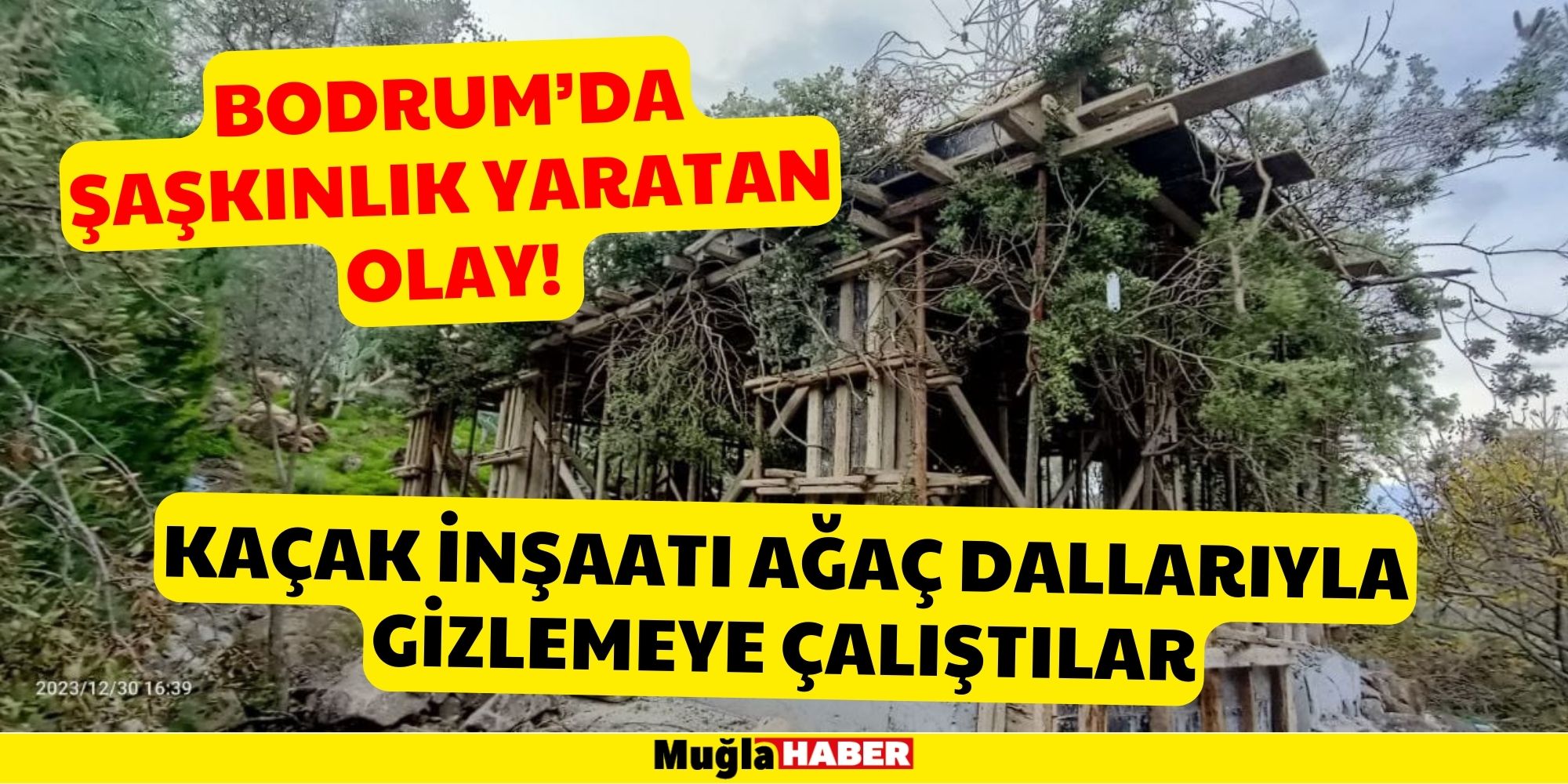 Bodrum'da Kaçak İnşaatı Ağaç Dallarıyla Gizlemeye Çalıştılar