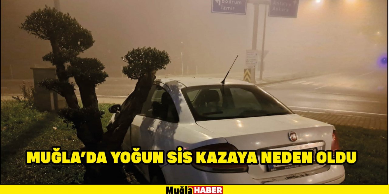 MUĞLA'DA YOĞUN SİS KAZAYA NEDEN OLDU