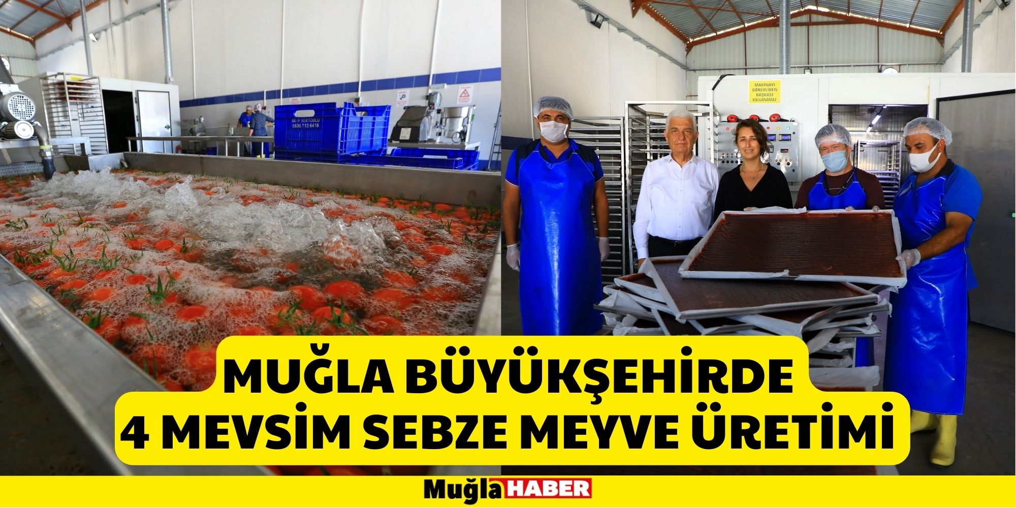 Muğla Büyükşehirde 4 Mevsim Sebze Meyve Üretimi