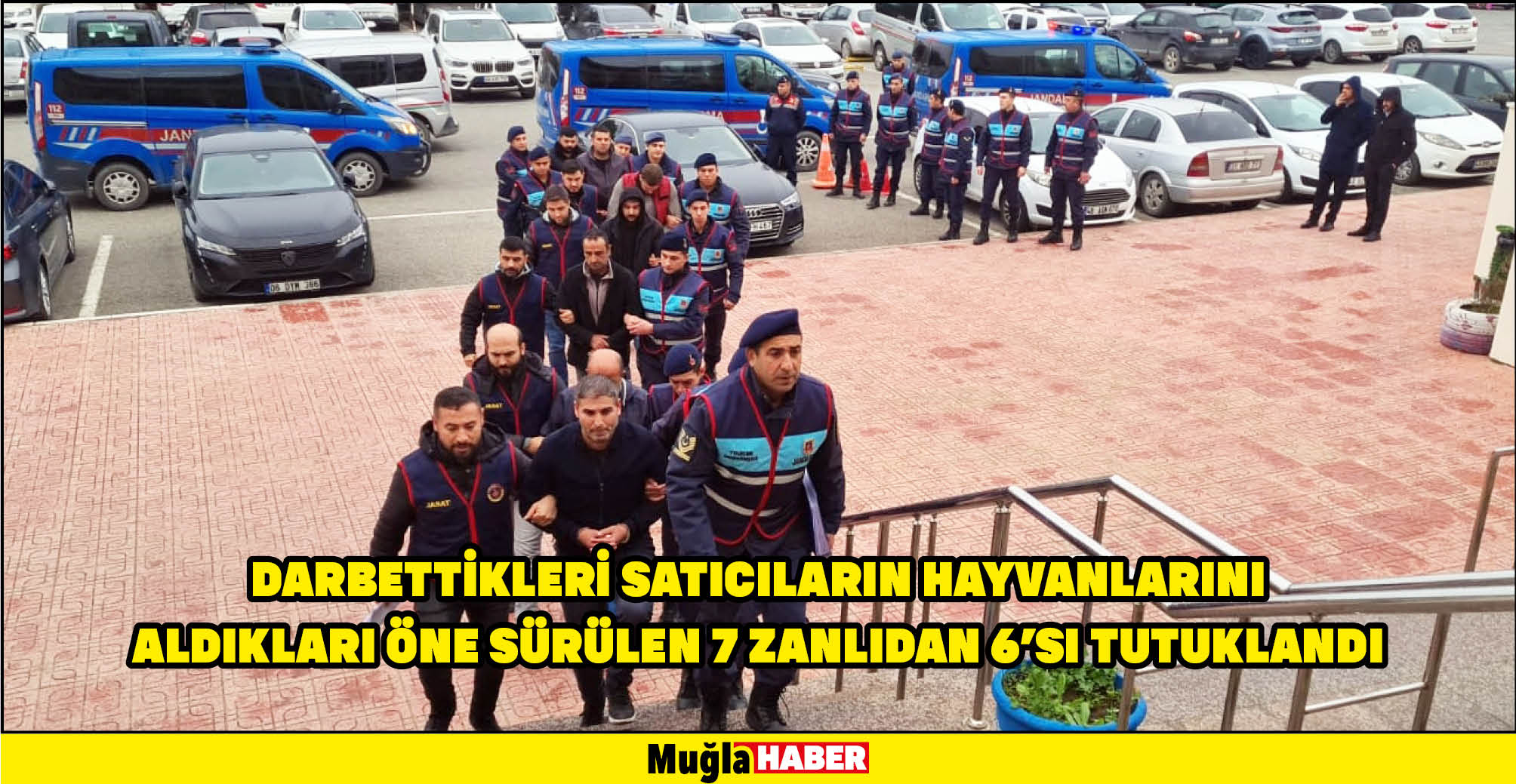 Bodrum'da darbettikleri satıcıların hayvanlarını aldıkları öne sürülen 7 zanlıdan 6'sı tutuklandı