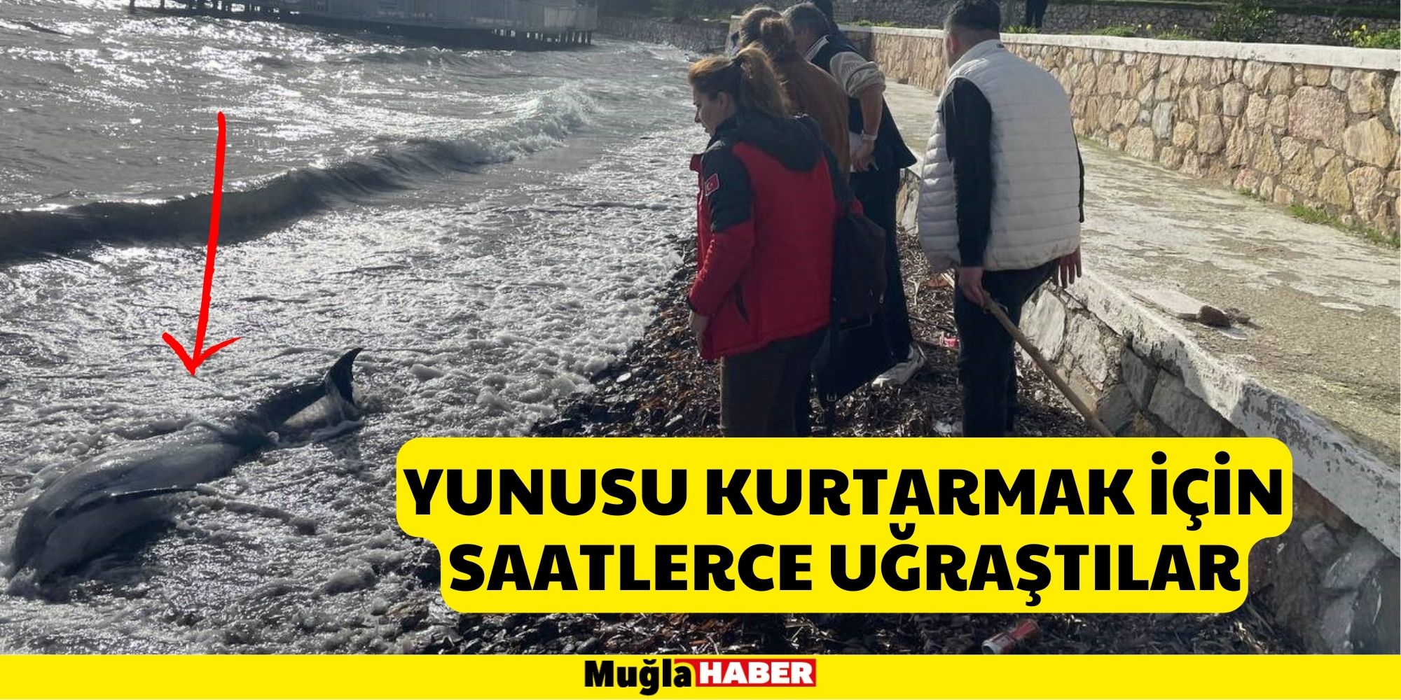 Yunusu kurtarmak için saatlerce uğraştılar