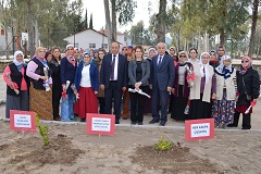 Seydikemerli kadınlar ağaç dikti