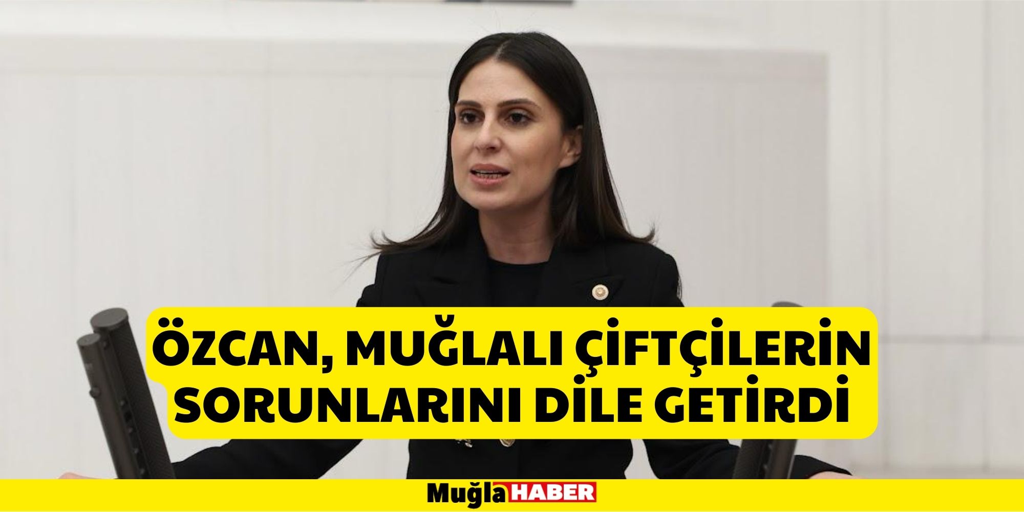 Özcan, Muğlalı Çiftçilerin Sorunlarını Dile Getirdi