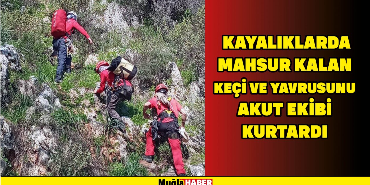 KAYALIKLARDA MAHSUR KALAN KEÇİ VE YAVRUSUNU AKUT EKİBİ KURTARDI