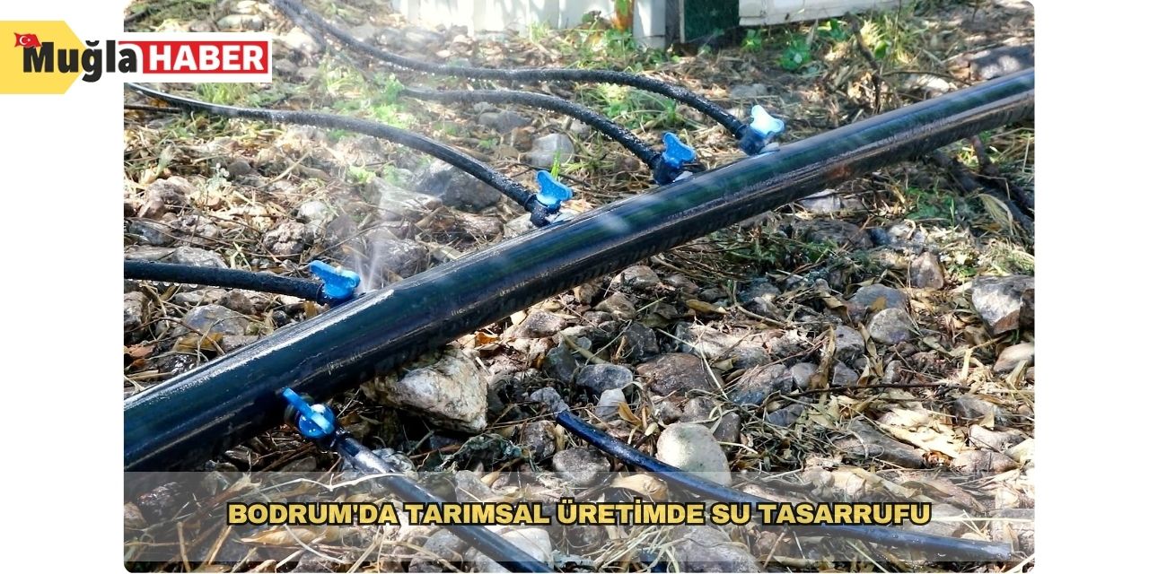 Bodrum'da tarımsal üretimde su tasarrufu