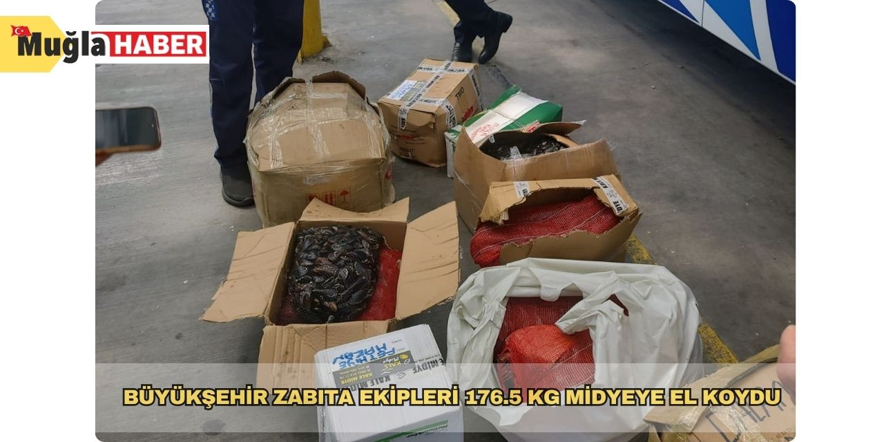 Büyükşehir zabıta ekipleri 176.5 kg midyeye el koydu