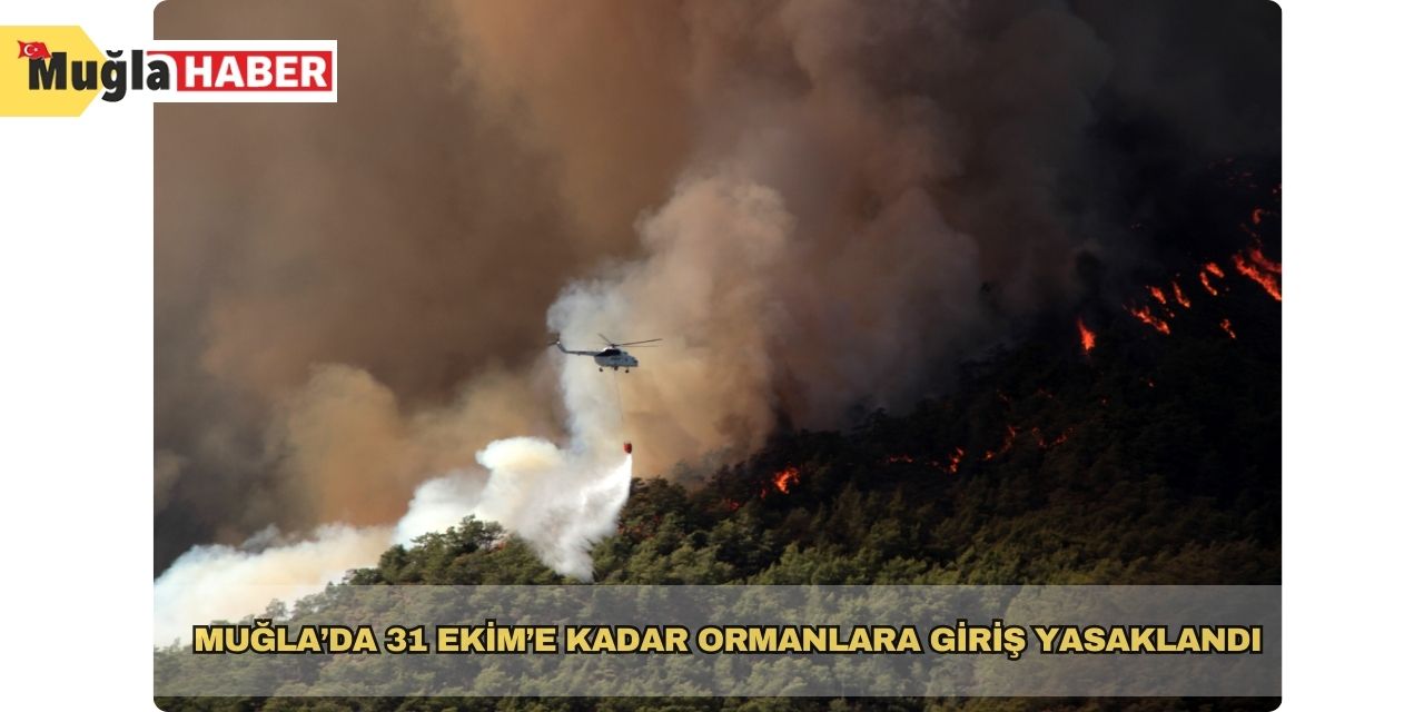 Muğla’da 31 Ekim’e kadar ormanlara giriş yasaklandı