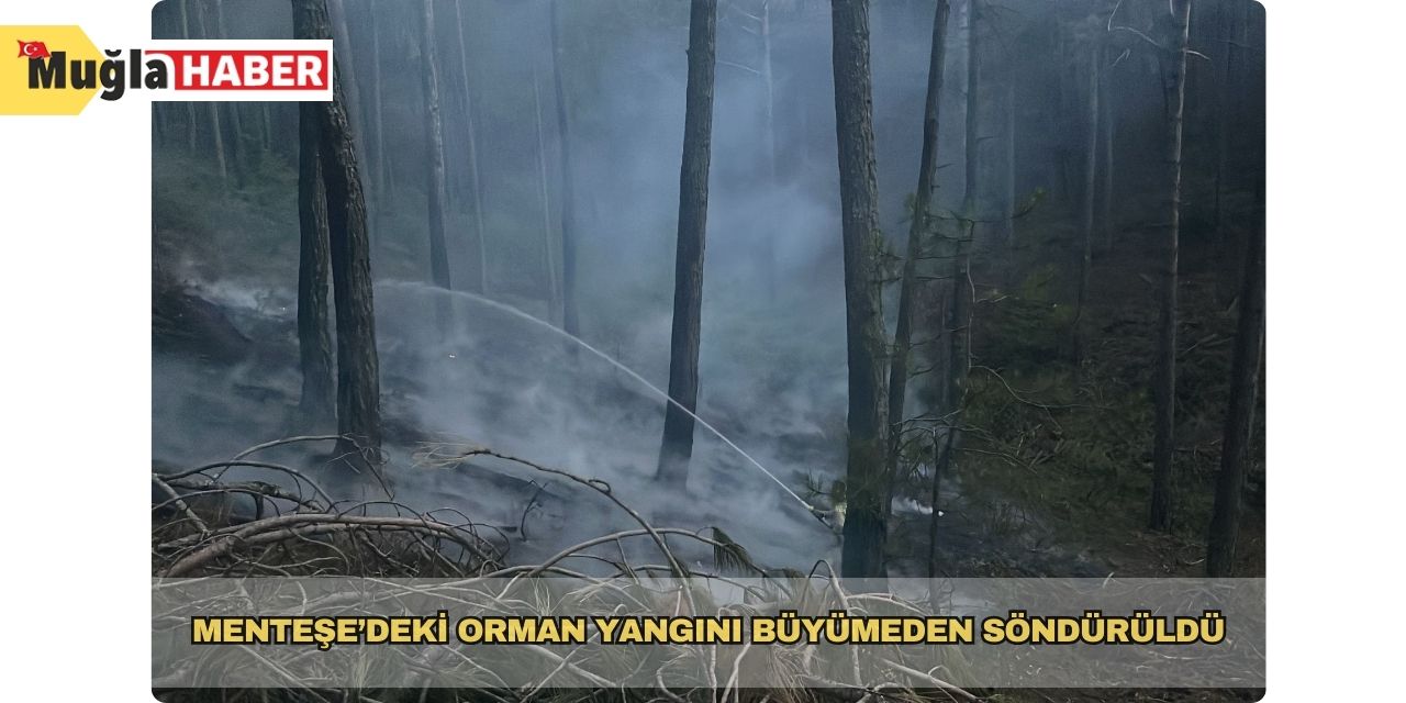 Menteşe’deki orman yangını büyümeden söndürüldü