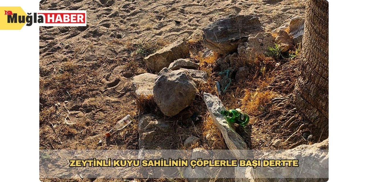 Zeytinli Kuyu sahilinin çöplerle başı dertte