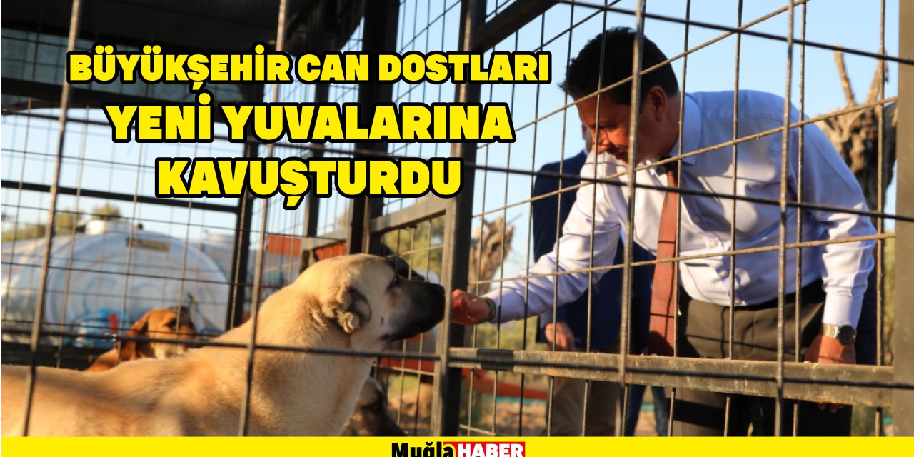 BÜYÜKŞEHİR CAN DOSTLARI YENİ YUVALARINA KAVUŞTURDU