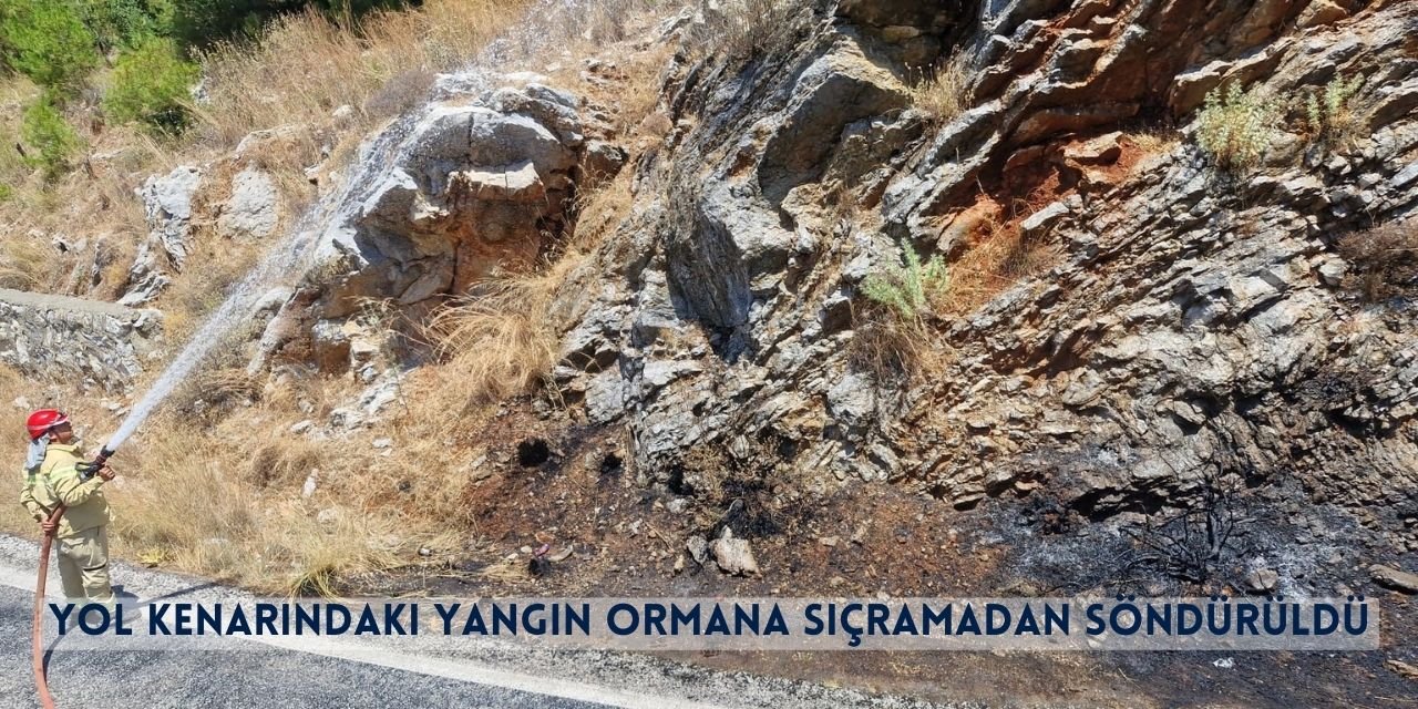 Yol Kenarındaki Yangın Ormana Sıçramadan Söndürüldü