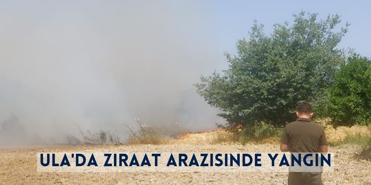 Ula'da Ziraat Arazisinde Yangın