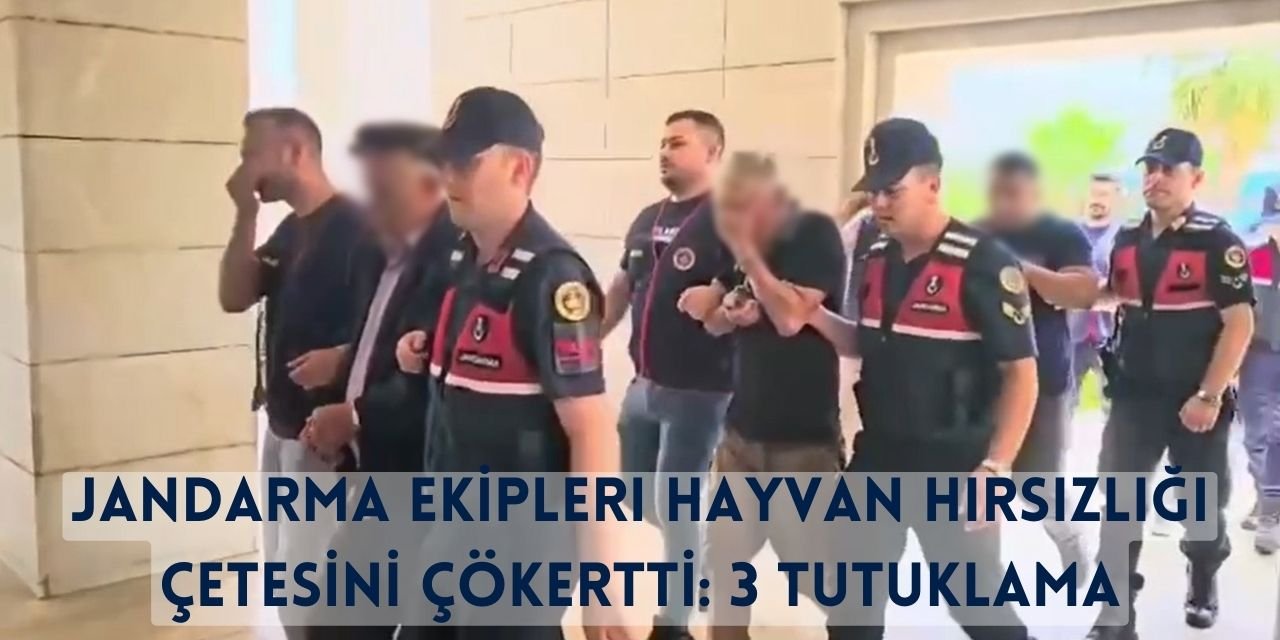 Jandarma Ekipleri Hayvan Hırsızlığı Çetesini Çökertti: 3 Tutuklama