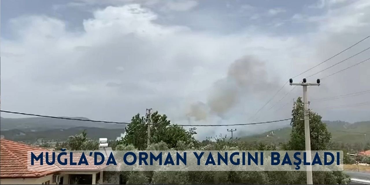 Muğla’da Orman Yangını Başladı