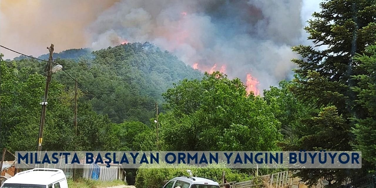 Milas’ta Başlayan Orman Yangını Büyüyor