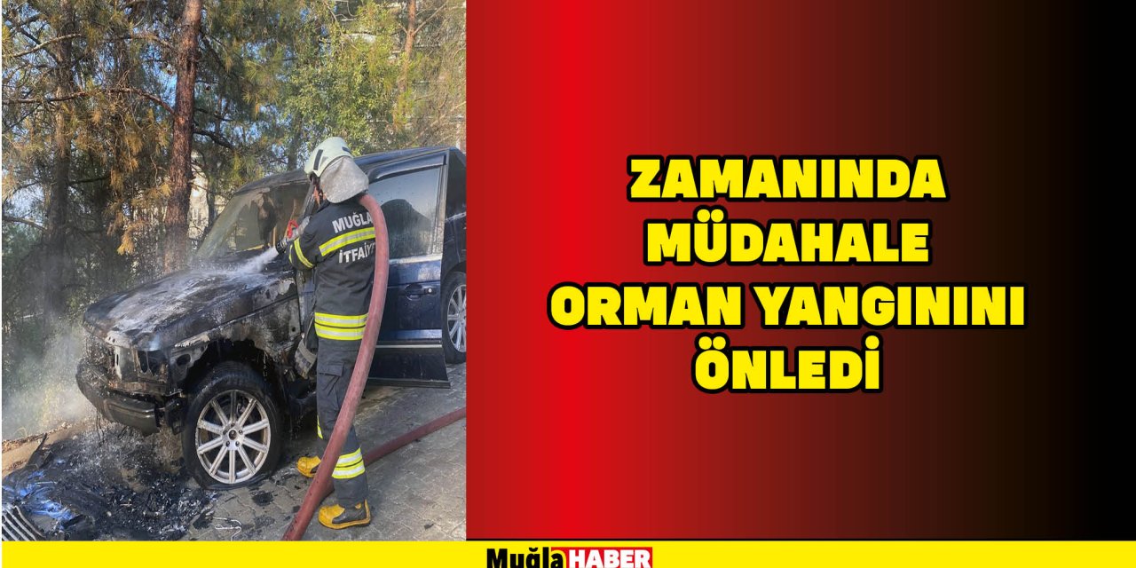 ZAMANINDA MÜDAHALE ORMAN YANGININI ÖNLEDİ