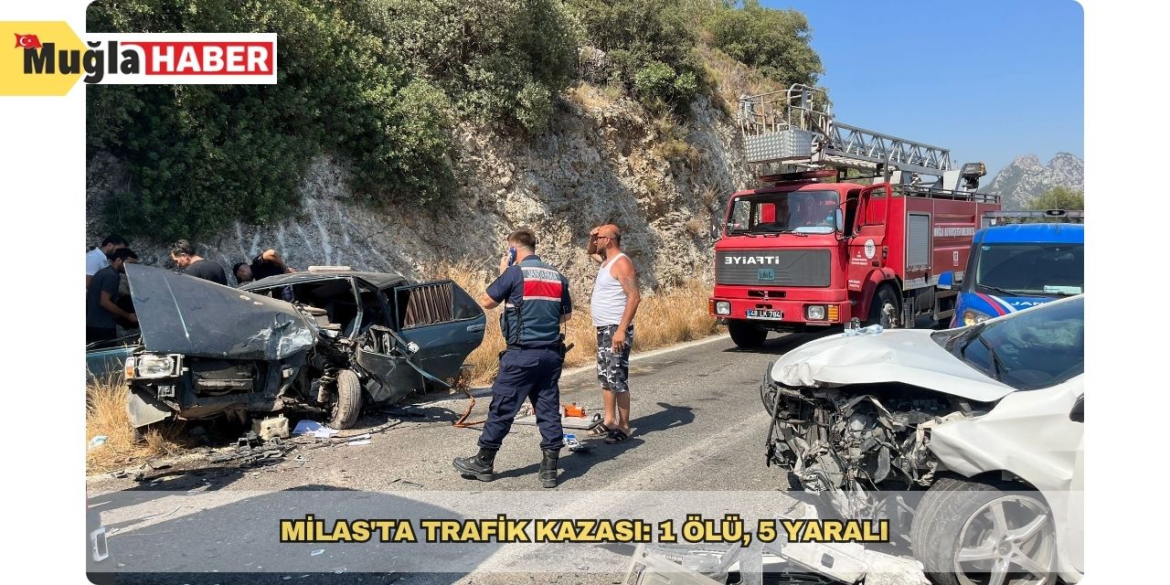 Milas'ta trafik kazası: 1 ölü, 5 yaralı