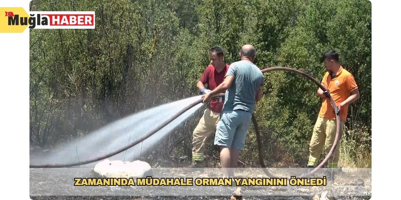 Zamanında müdahale orman yangınını önledi