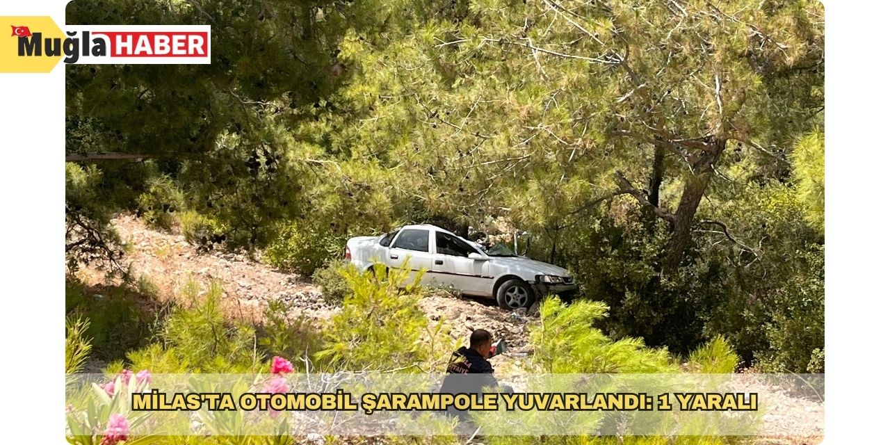 Milas'ta otomobil şarampole yuvarlandı: 1 yaralı