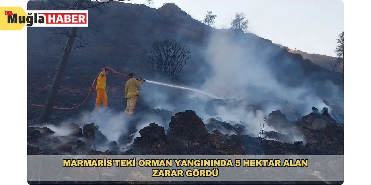 Marmaris'teki orman yangınında 5 hektar alan zarar gördü