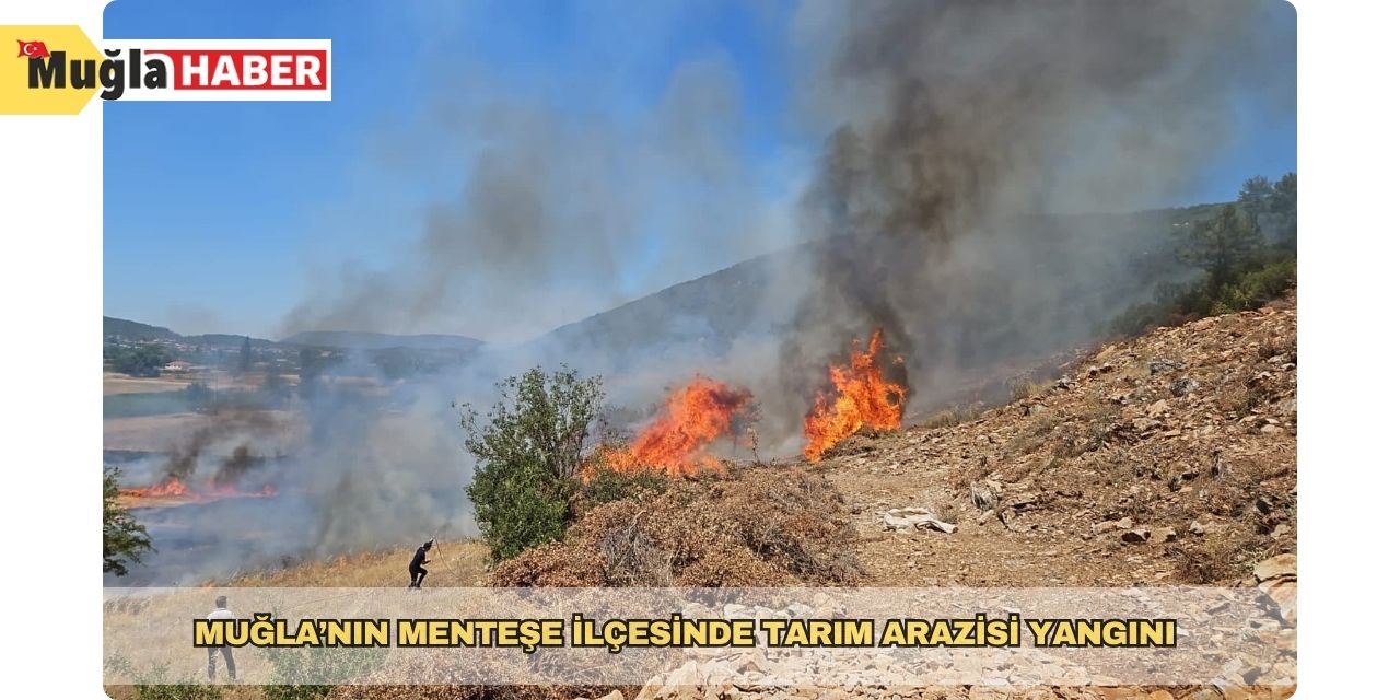 Muğla’nın Menteşe İlçesinde tarım arazisi yangını