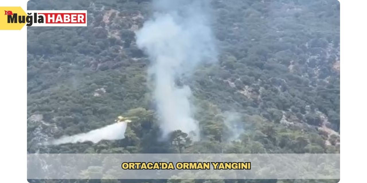 Ortaca’da orman yangını