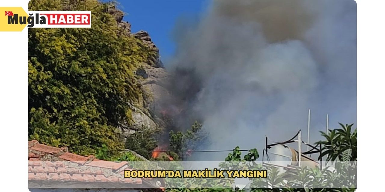 Bodrum’da makilik yangını