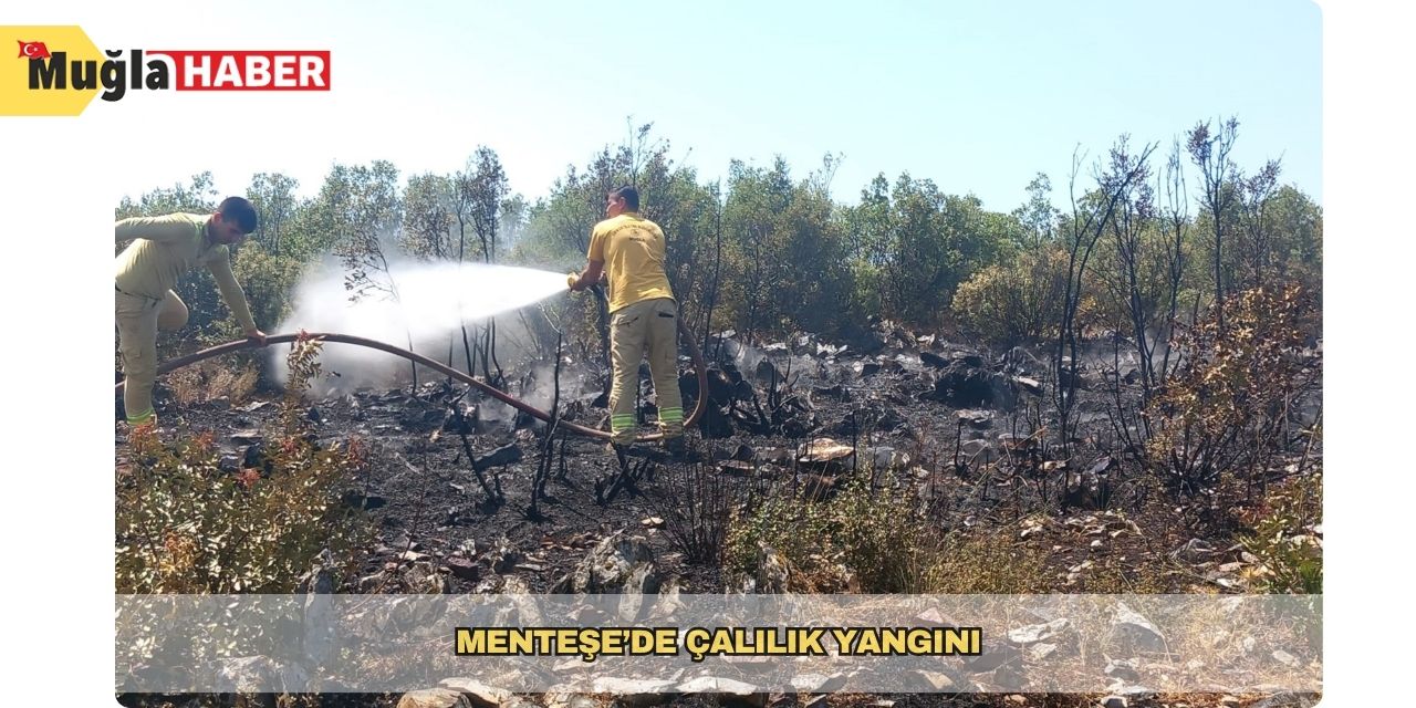 Menteşe’de çalılık yangını