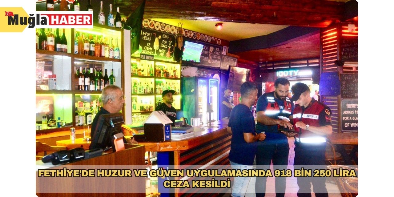 Fethiye'de huzur ve güven uygulamasında 918 bin 250 lira ceza kesildi