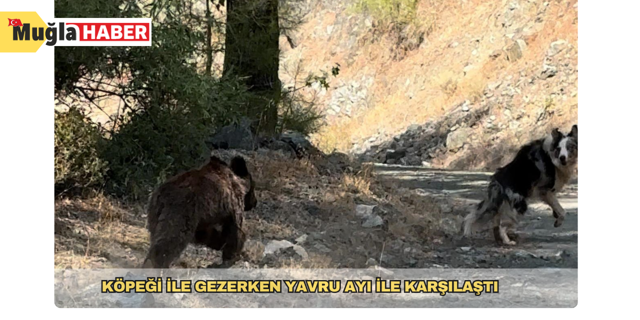 Köpeği ile gezerken yavru ayı ile karşılaştı