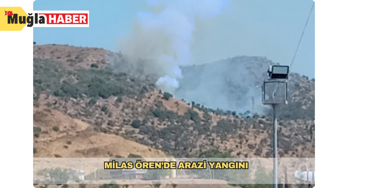 Milas Ören’de arazi yangını