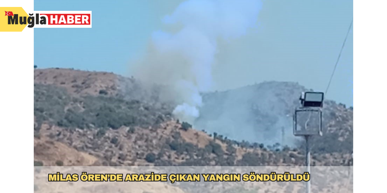 Milas Ören’de arazide çıkan yangın söndürüldü