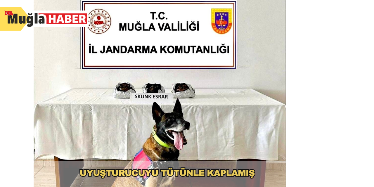 Uyuşturucuyu tütünle kaplamış