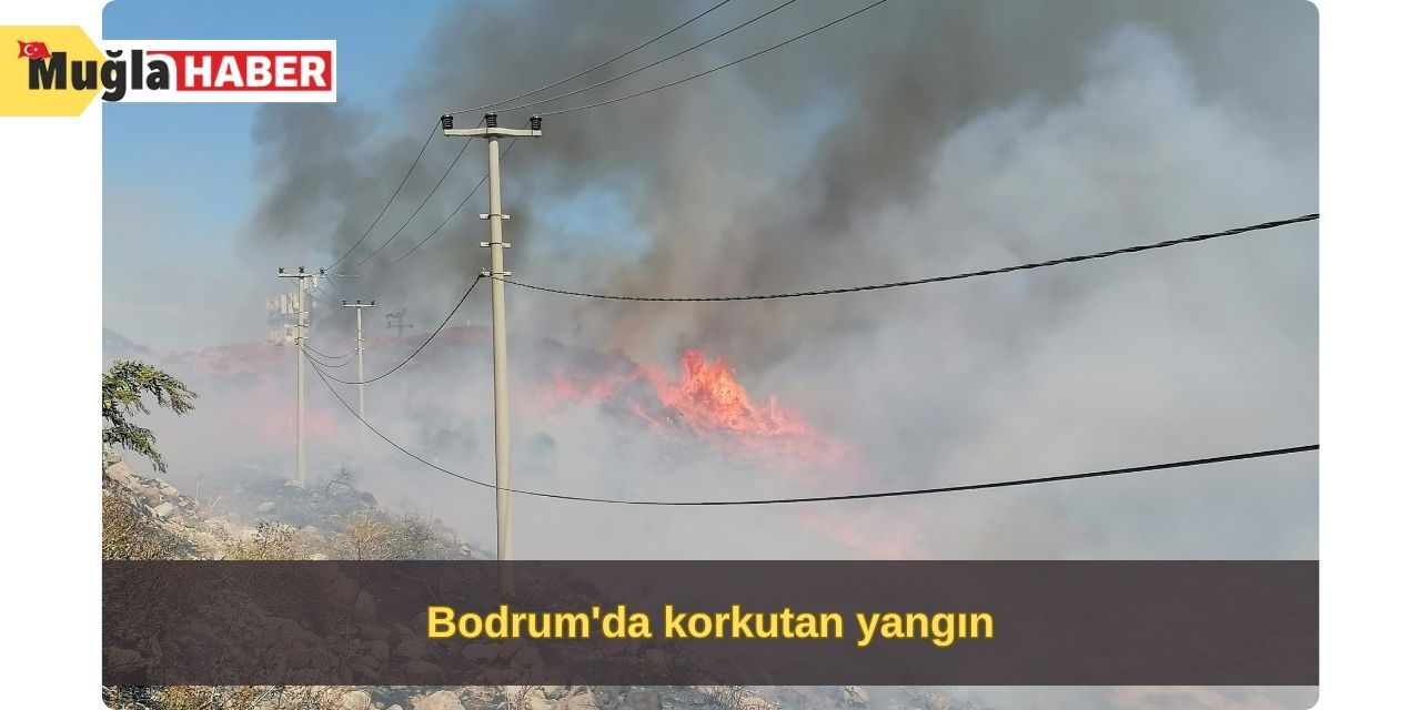 Bodrum'da korkutan yangın