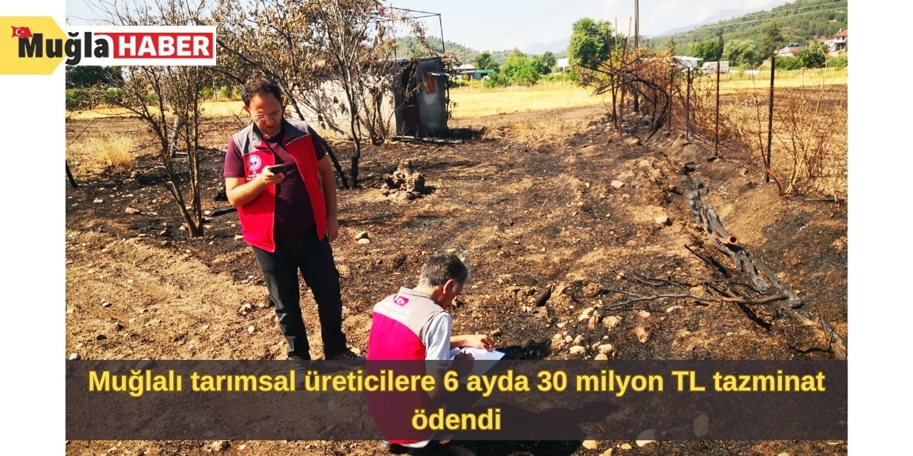 Muğlalı tarımsal üreticilere 6 ayda 30 milyon TL tazminat ödendi