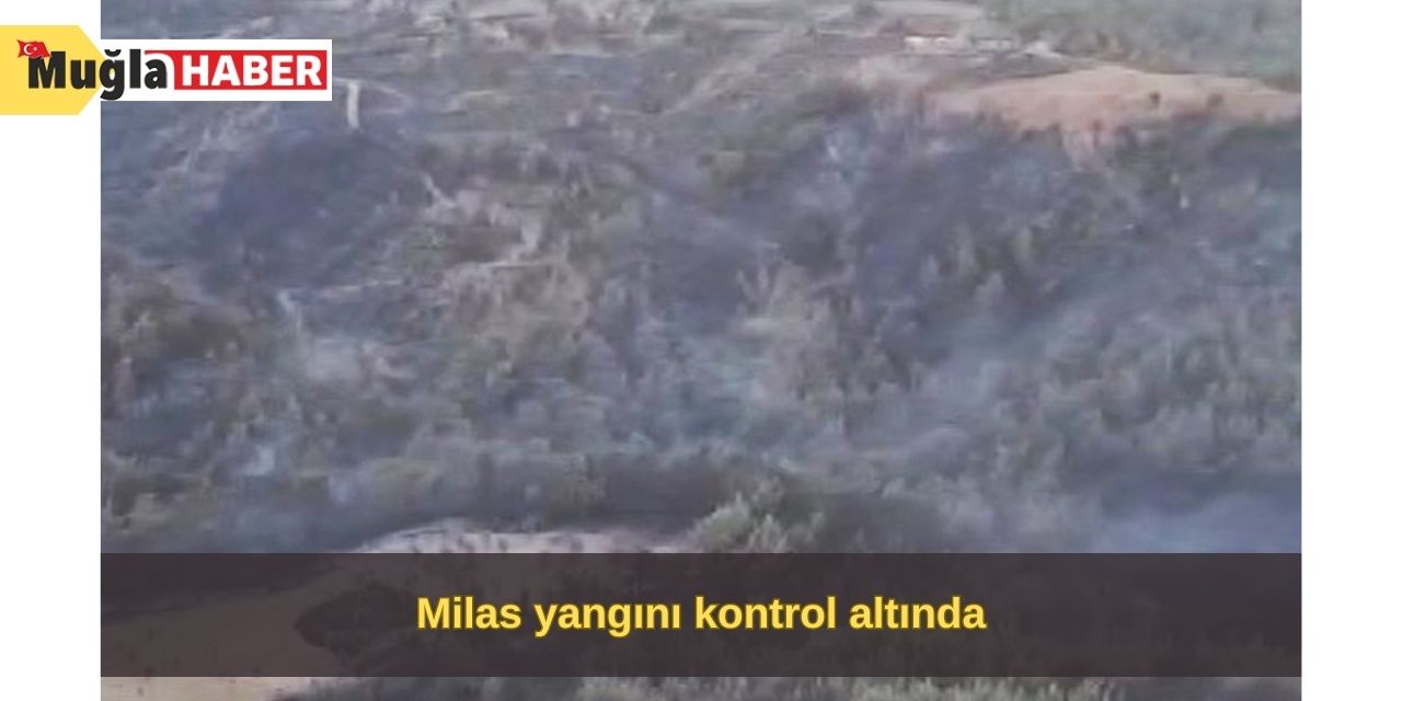 Milas yangını kontrol altında