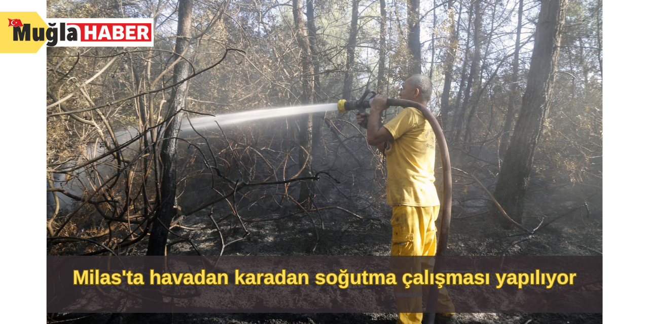 Milas'ta havadan karadan soğutma çalışması yapılıyor